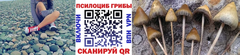 Купить где  Павловская  Галлюциногенные грибы прущие грибы 